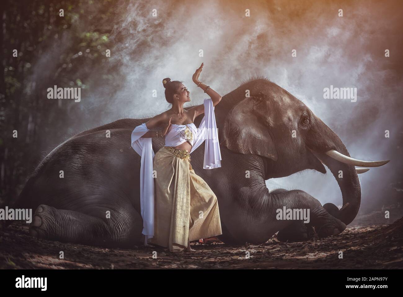 Schöne Frau, die traditionelle Kleider aus thailändischer Seide mit Elefanten trägt, Provinz Surin, Thailand Stockfoto