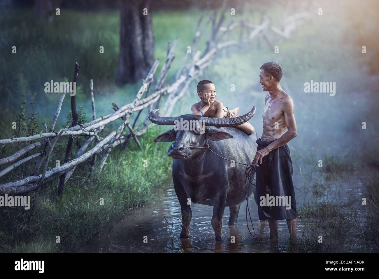 Bauernfamilie, Vater und Sohn mit Büffel dieser Lebensstil thailändische Menschen auf Dem Land Thailand. Stockfoto