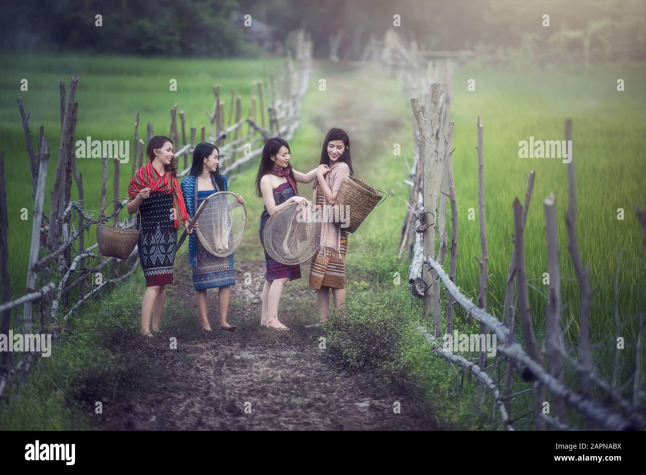 Thailändisches Landfrauen arbeiten im Freien, Auf Dem Land Thailands Stockfoto