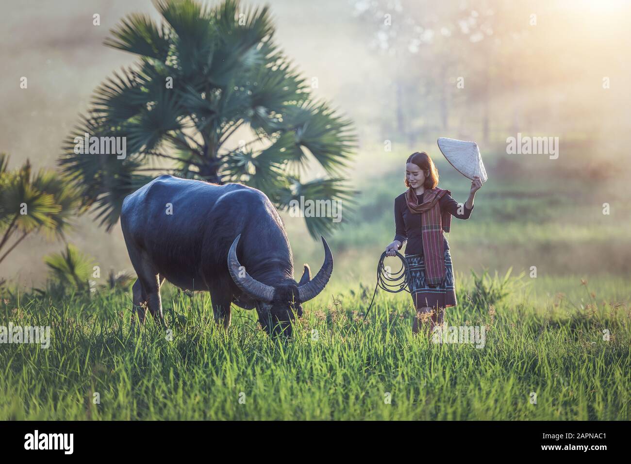 Porträt der thailändischen jungen Frau Bauer mit Büffel, thailändische Landschaft Stockfoto