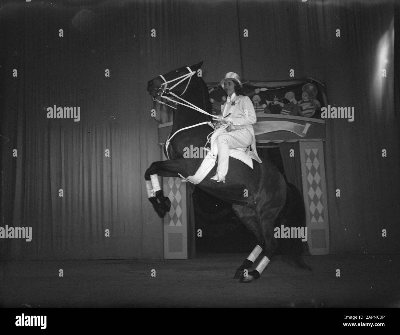 Hogeschoolrijden, Miss Wilke (Tuschinski) Datum: 24. Dezember 1947 Ort: Amsterdam Schlagwörter: Pferdedressur Personenname: Wilke, Name Der Institution: Tuschinski Stockfoto