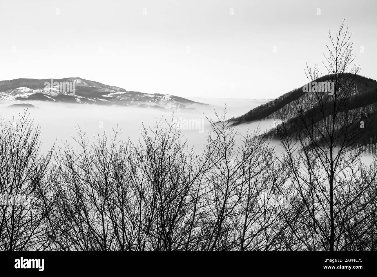 Schwarzweiß-Naturfotografie, verschneite Berge in Wolken Stockfoto