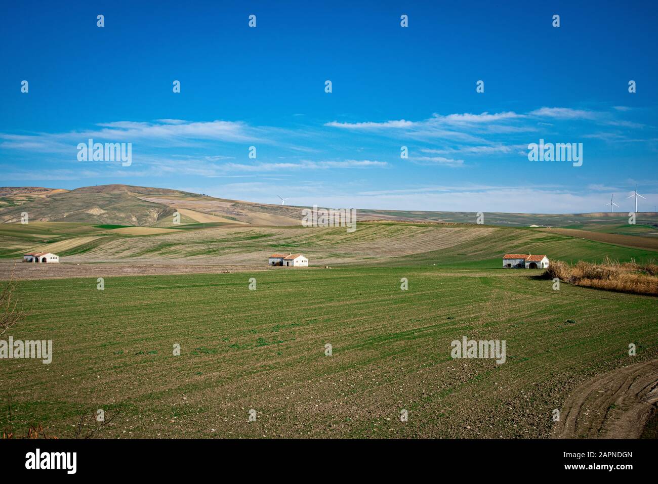 Foto di un terreno coltivato in Apulien. Stockfoto