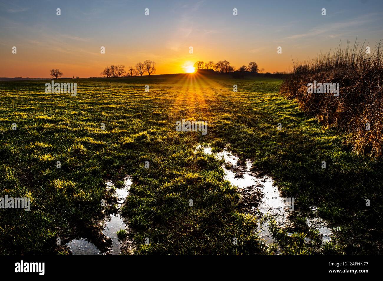 Sonnenuntergang über einem Bauernfeld in Rutland. Stockfoto