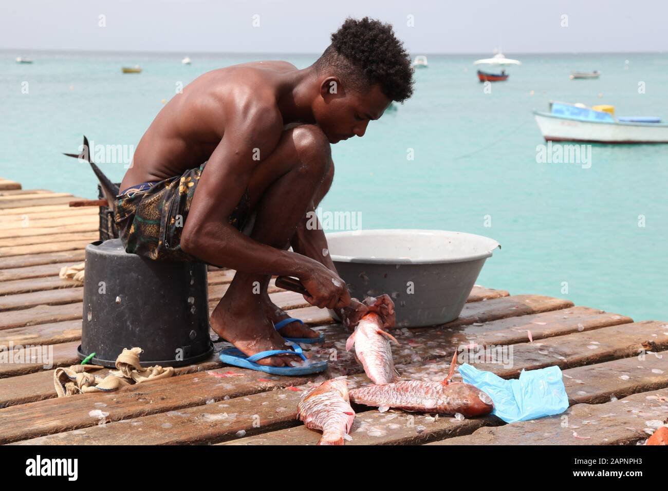 Lokale Fischer, die auf traditionelle Weise auf dem Fischmarkt auf dem Pier in Santa Maria, Sal, Kap Verde Fisch ausschneiden und zubereiten Stockfoto