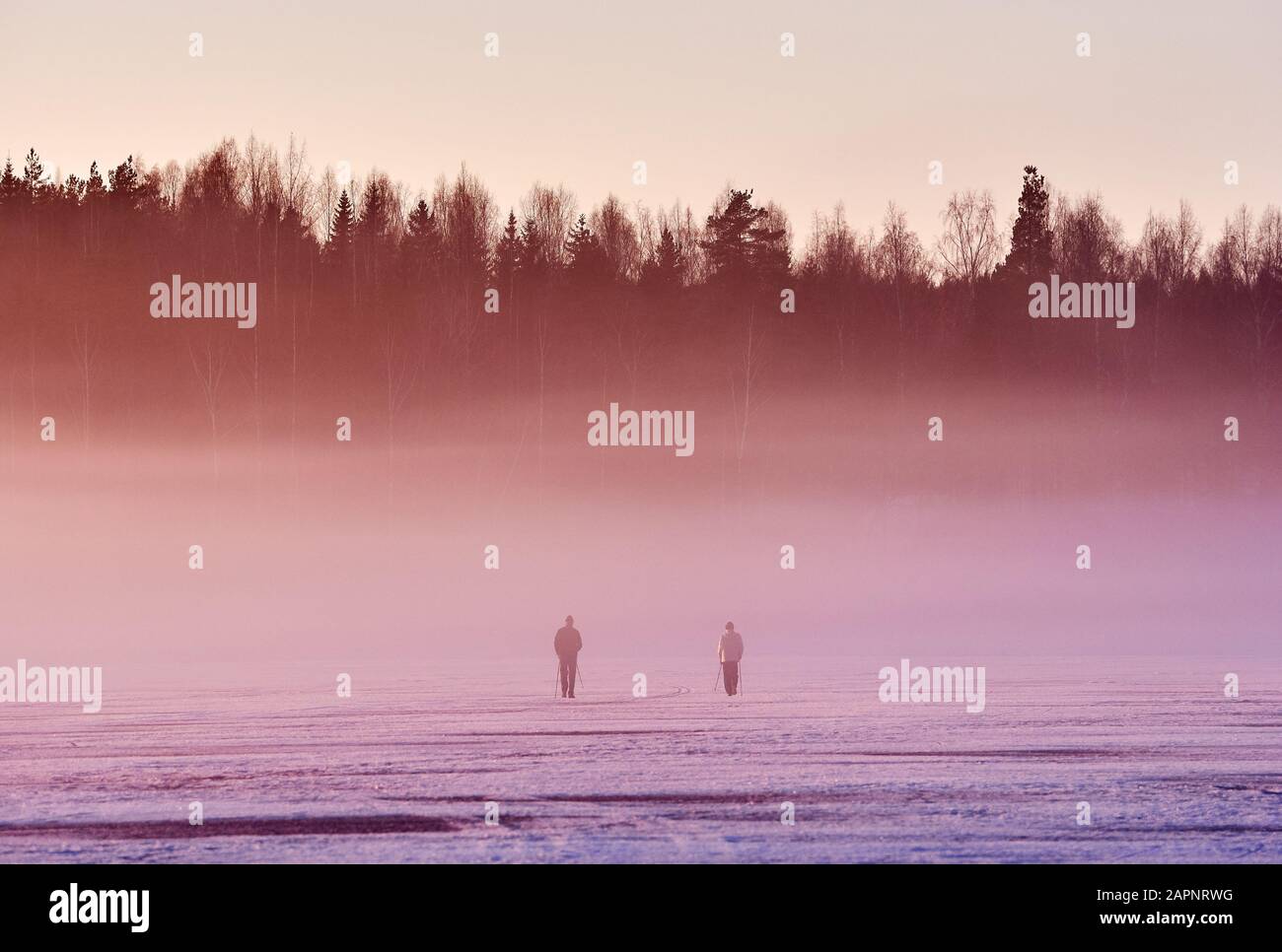 Dramatischer Sonnenuntergang mit zwei Skifahrern auf dem nebligen Eis des gefrorenen Sees in Finnland im Winter. Stockfoto