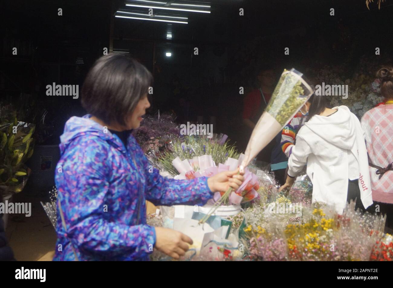 Frauen kaufen Blumenbonsai auf dem Yingchun-Blumenmarkt. In Shenzhen, China. Stockfoto