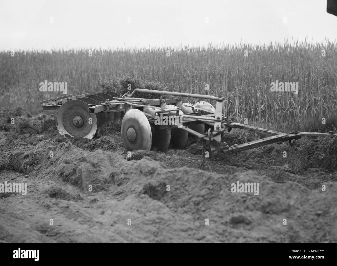 Landmaschinen und Werkzeuge, Arbeit, Eggen Datum: Juni 1952 Schlagwörter: Eggen, Landmaschinen und Werkzeuge, Arbeit Stockfoto