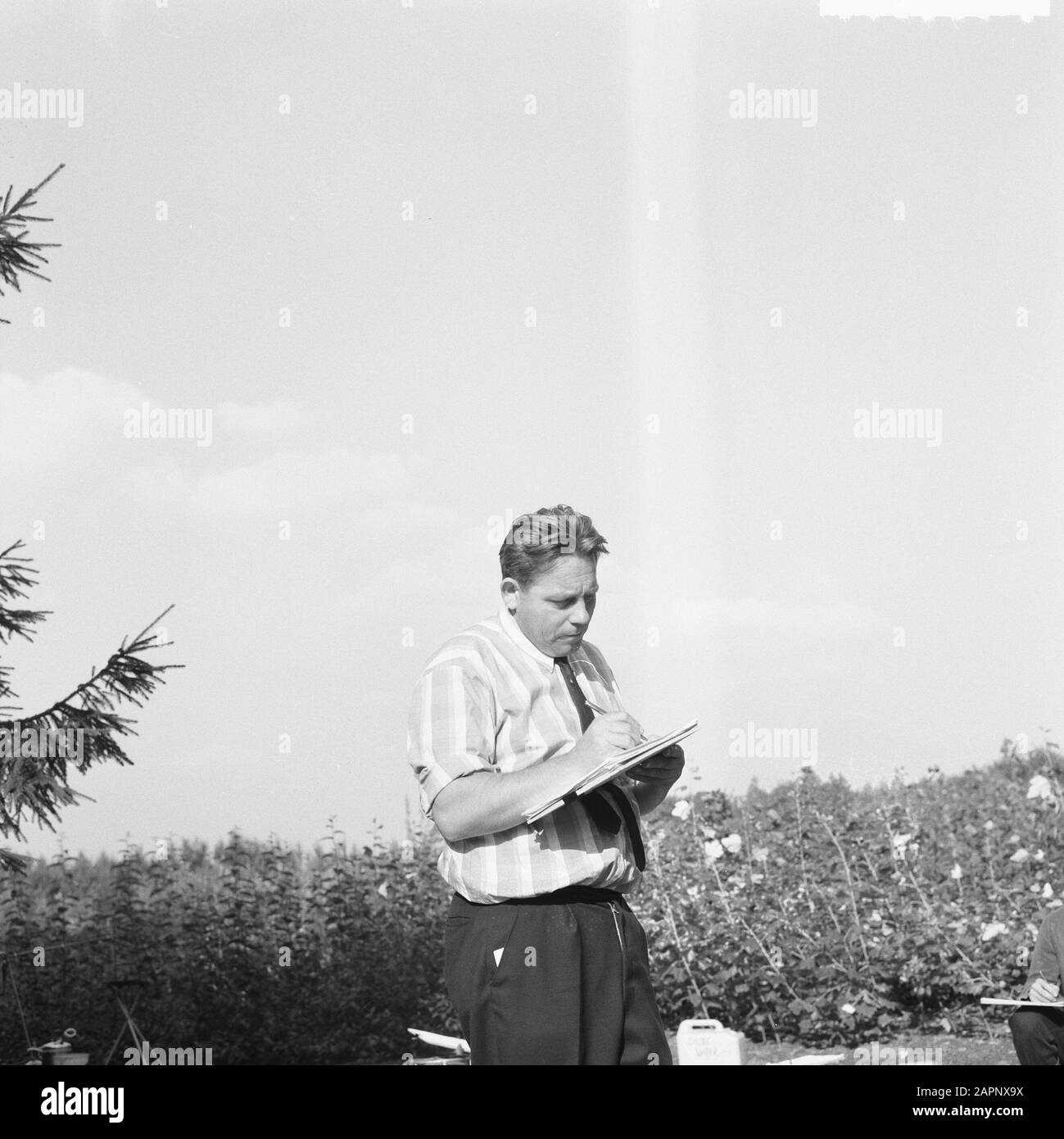 Männer, Sträucher, Notizen Datum: Undatierte Stichwörter: Männer, Notizen, Sträucher Stockfoto