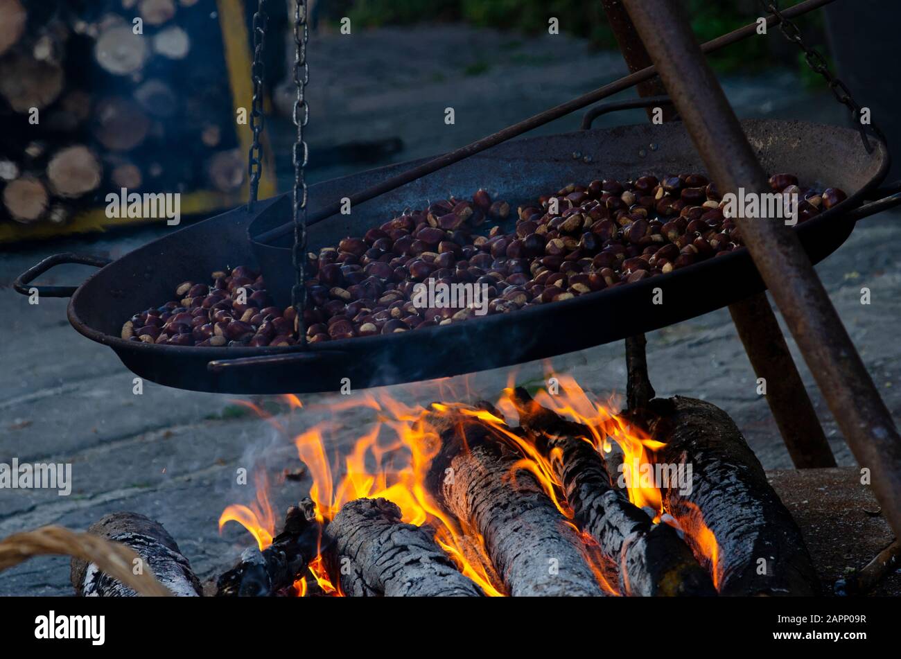 Beim Oktoberfest, das die Kastanienernte feiert, wird im toskanischen Bergdorf Gavinana bei einem offenen Feuer die Kastanienernte geröstet. Stockfoto