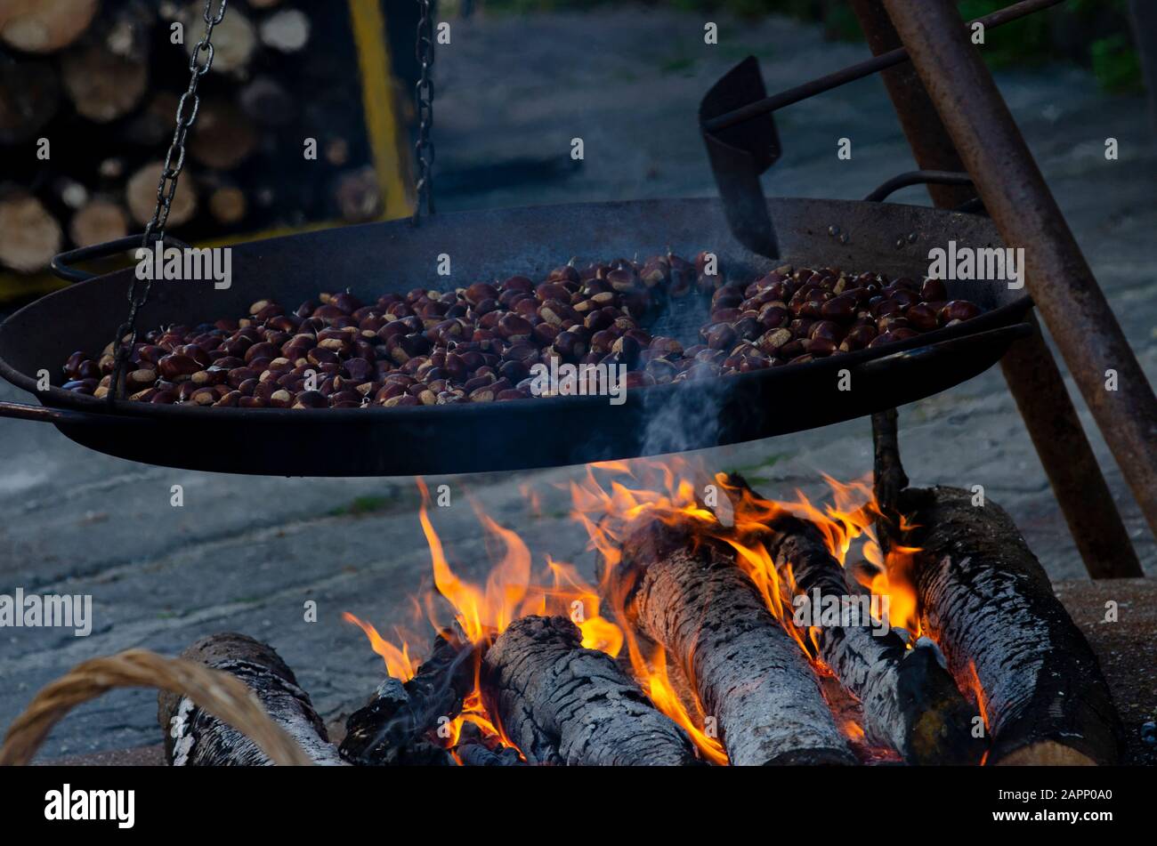 Beim Oktoberfest, das die Kastanienernte feiert, wird im toskanischen Bergdorf Gavinana bei einem offenen Feuer die Kastanienernte geröstet. Stockfoto