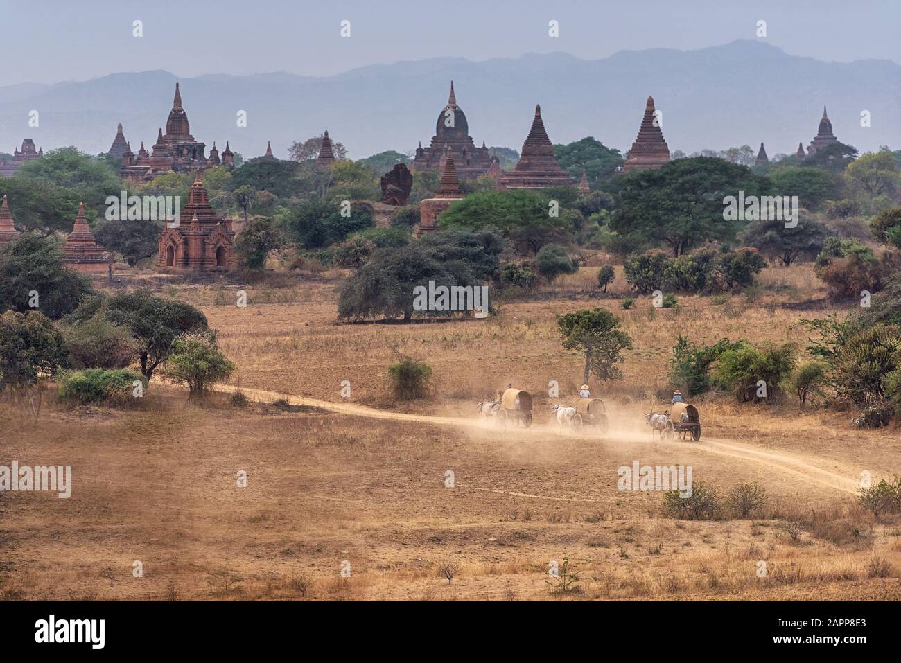 Fantastische berühmte Reise- und Landschaftsszene mit alten Tempeln und Kutschen bei Sonnenuntergang in Bagan, Myanmar. Das beste Reiseziel Asiens. Stockfoto