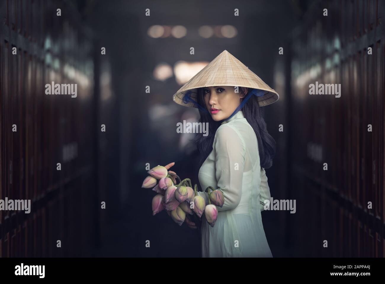 Schöne Frau mit Vietnam Kultur Tracht, Tracht, Vintage Style, Vietnam Stockfoto