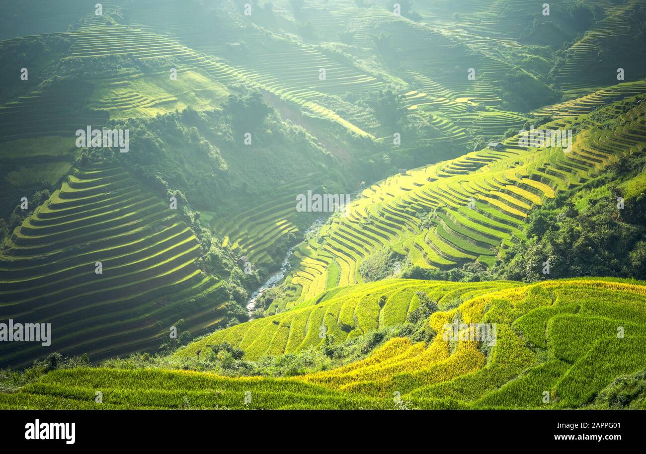 Schöne Aussicht auf die Reisterterrasse im Su Cang Chai, Vietnam Stockfoto
