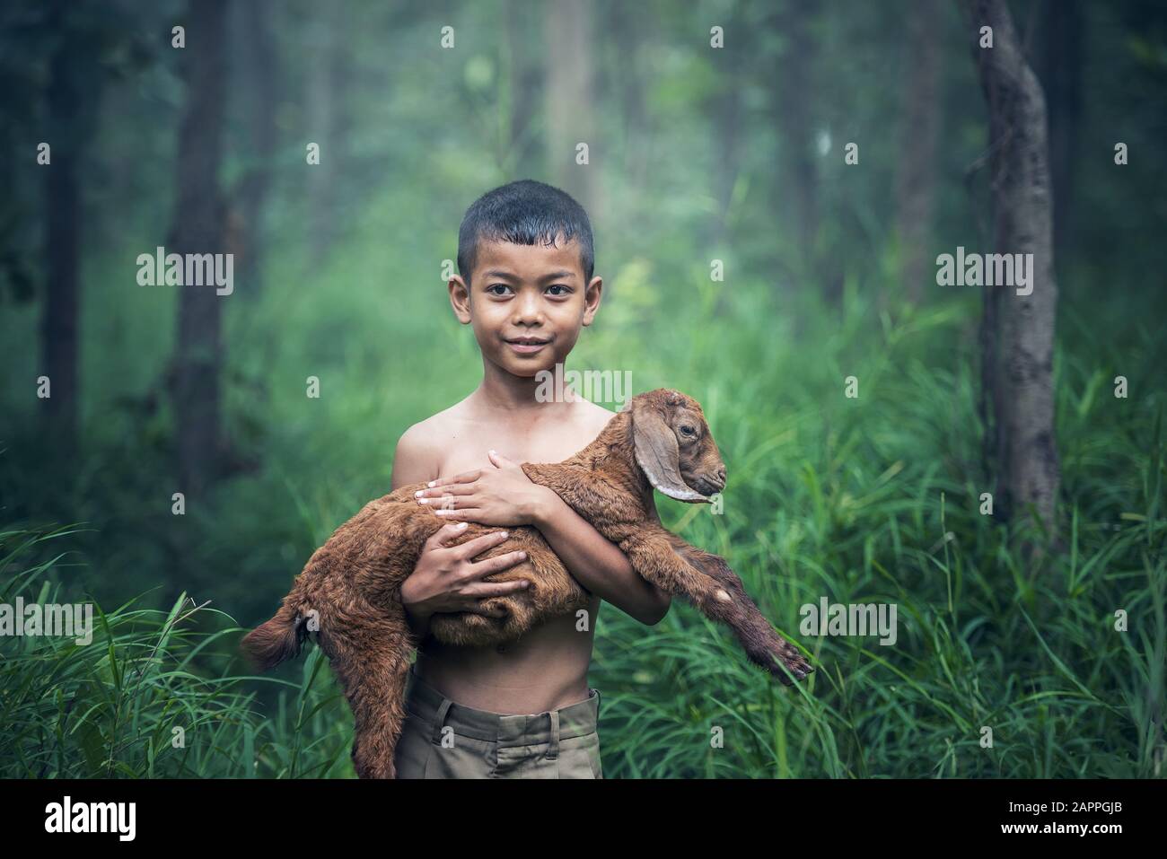 Asien-Junge halten mit Babyziegen auf der Wiese. Stockfoto