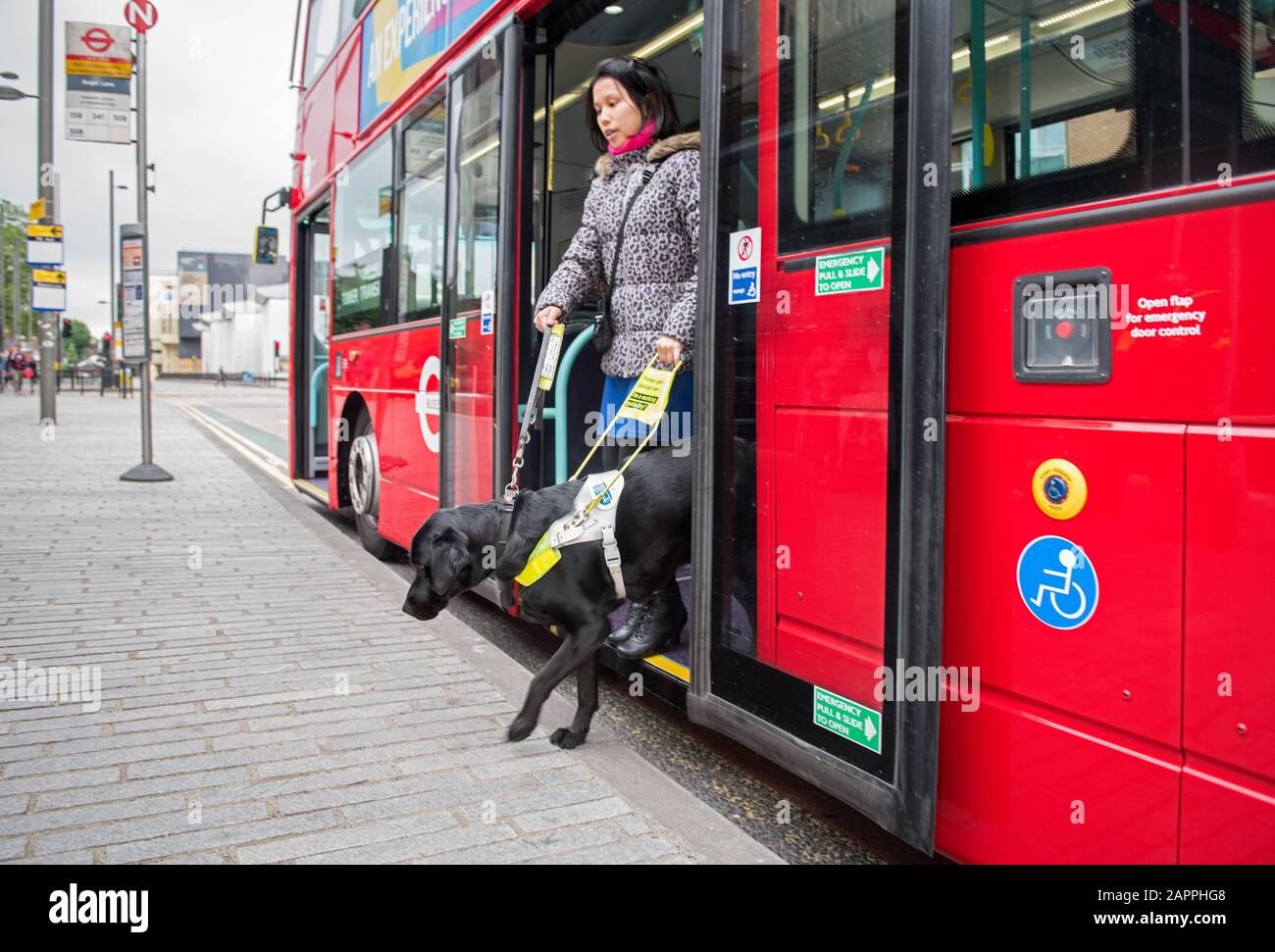 Ein blinder Pendler alcht mit ihrem Blindenhund auf einen Londoner Bus Stockfoto