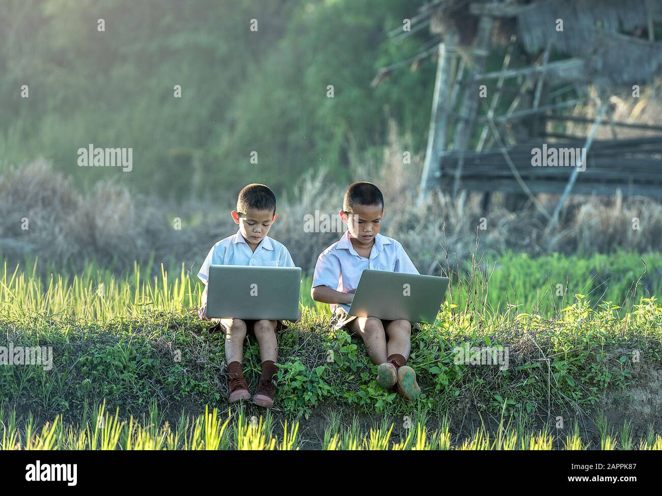 Zwei Jungen, die ein Notebook im Freien verwenden Stockfoto
