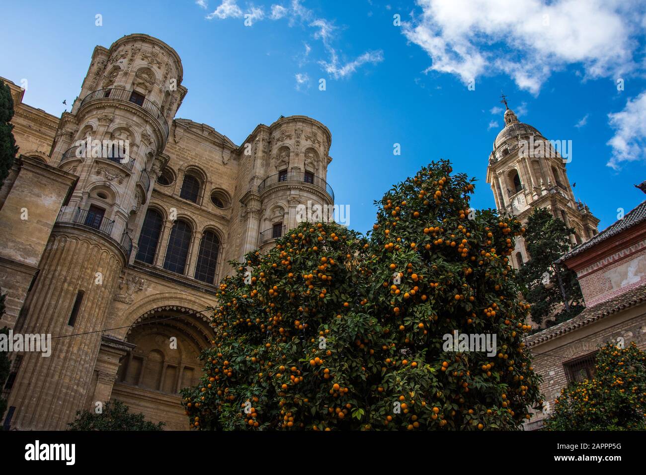 Historisches und Künstlerisches Zentrum von Marbella, Marbella, Costa del Sol Occidental, Málaga, Andalusien, Spanien, Iberische Halbinsel mit Orangenbäumen Stockfoto