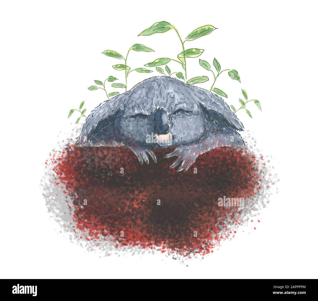 Koala Bär schläft auf Feuer. Handzeichnung Aquarell Skizze. Schwarzer Umriss auf weißem Hintergrund. Farbenfrohe Illustration. Bild kann in Grußkarten, Plakaten, Flyern, Bannern, Logo, weitere Gestaltung etc. Verwendet werden Stockfoto