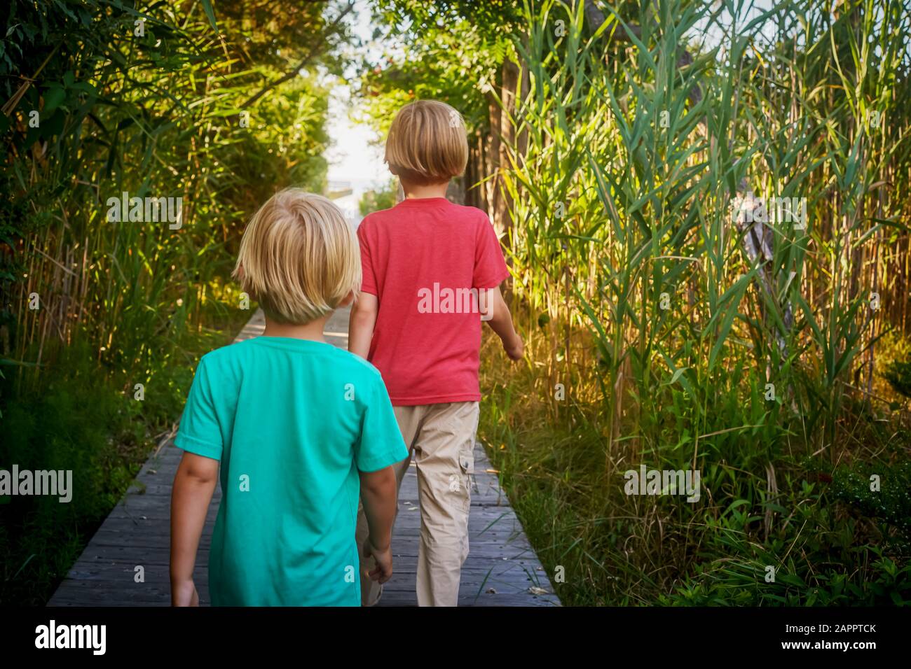 Jungen, die durch das Feld des hohen Grases spazieren, Fire Island Walk, New York, USA Stockfoto