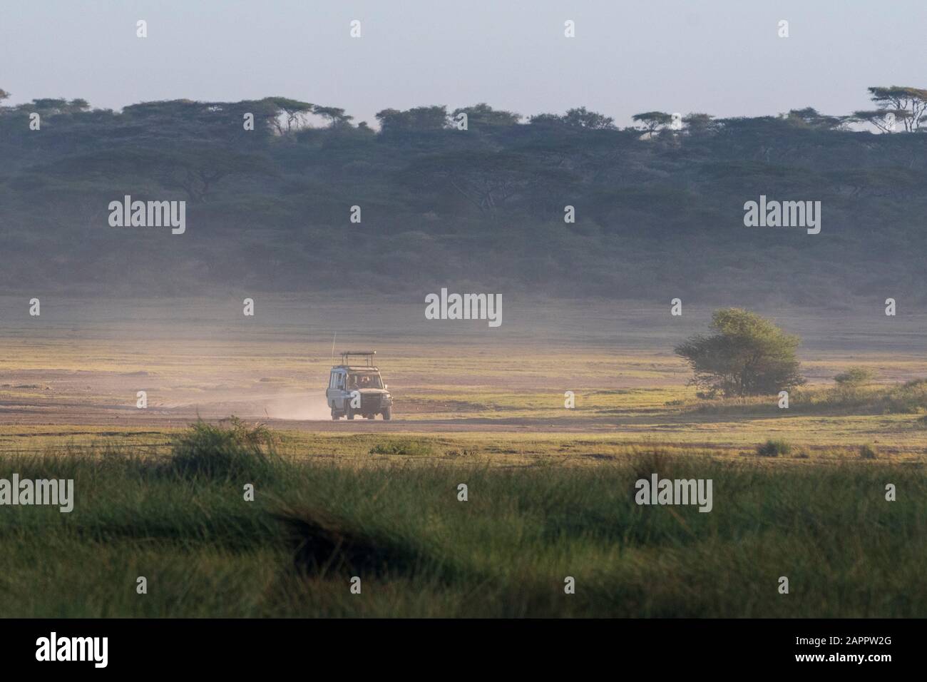 Safari Vehicle, Ndutu, Ngorongoro Conservation Area, Serengeti, Tansania Stockfoto