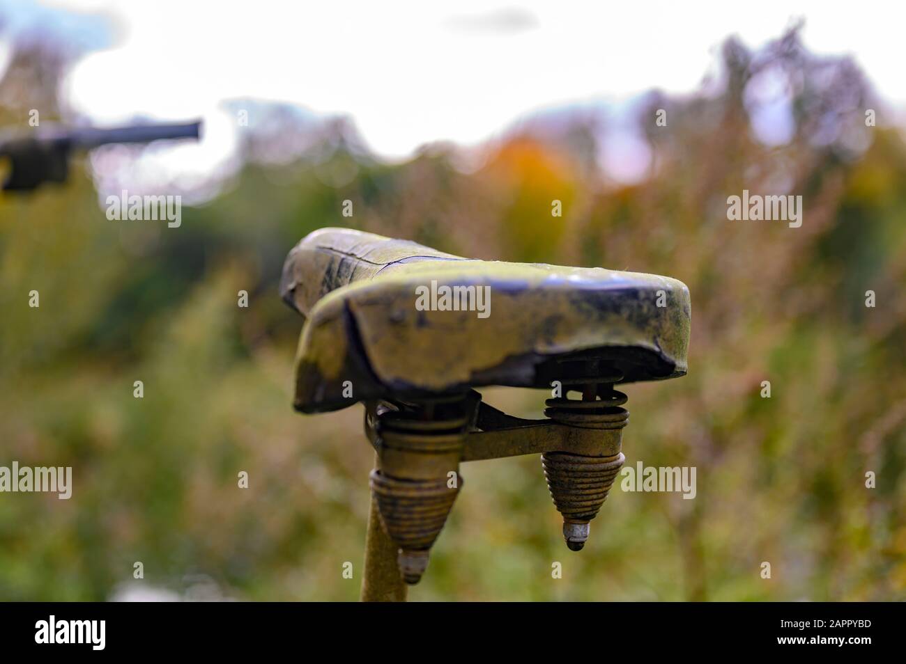 Moosiger Sattel eines verlassenen verwitterten Fahrrades in einem Park. Stockfoto