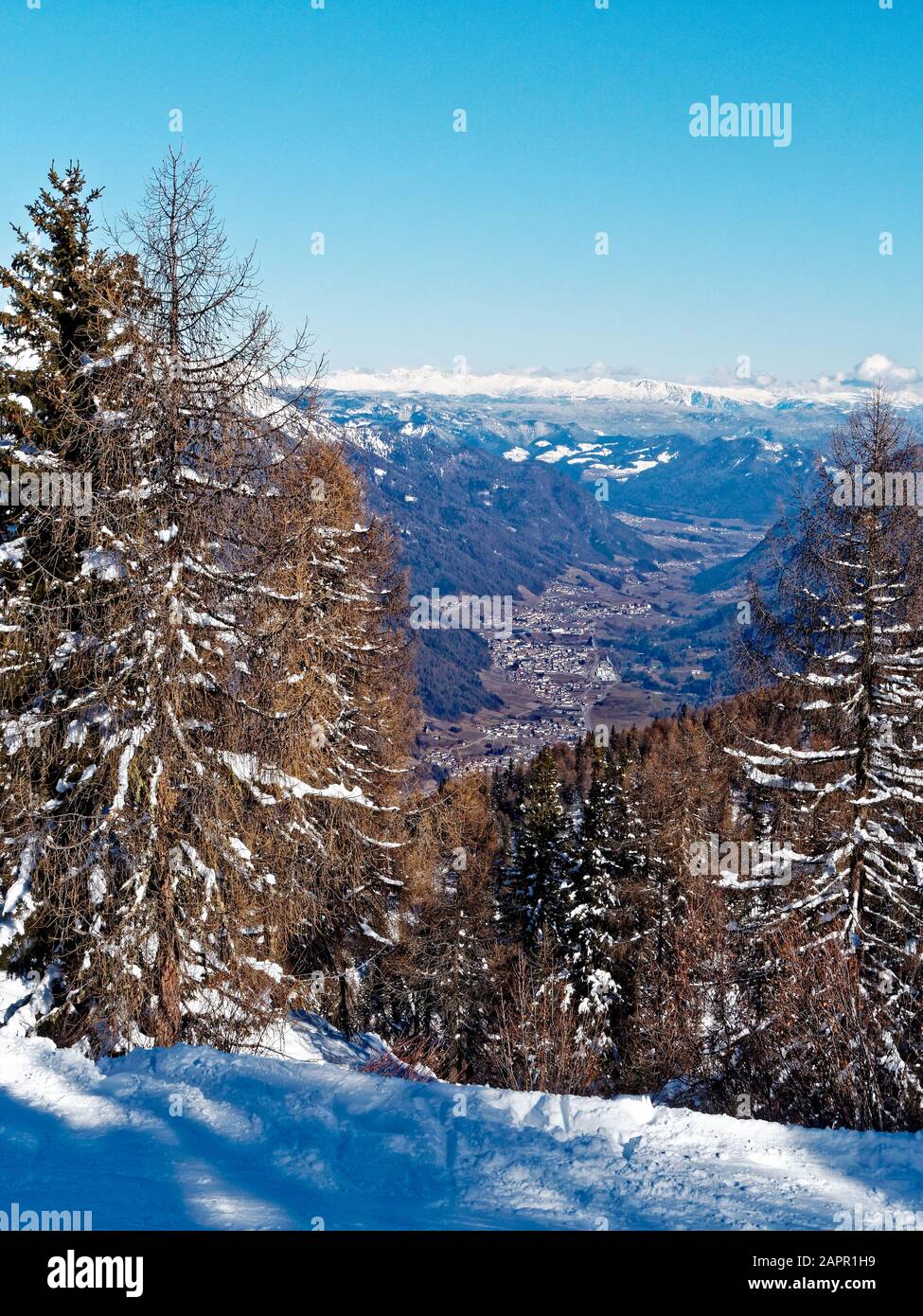 Vom Dos della Pesa aus haben Sie einen Blick auf das Val di Sole, das Trentino Alto Adige, Italien Stockfoto