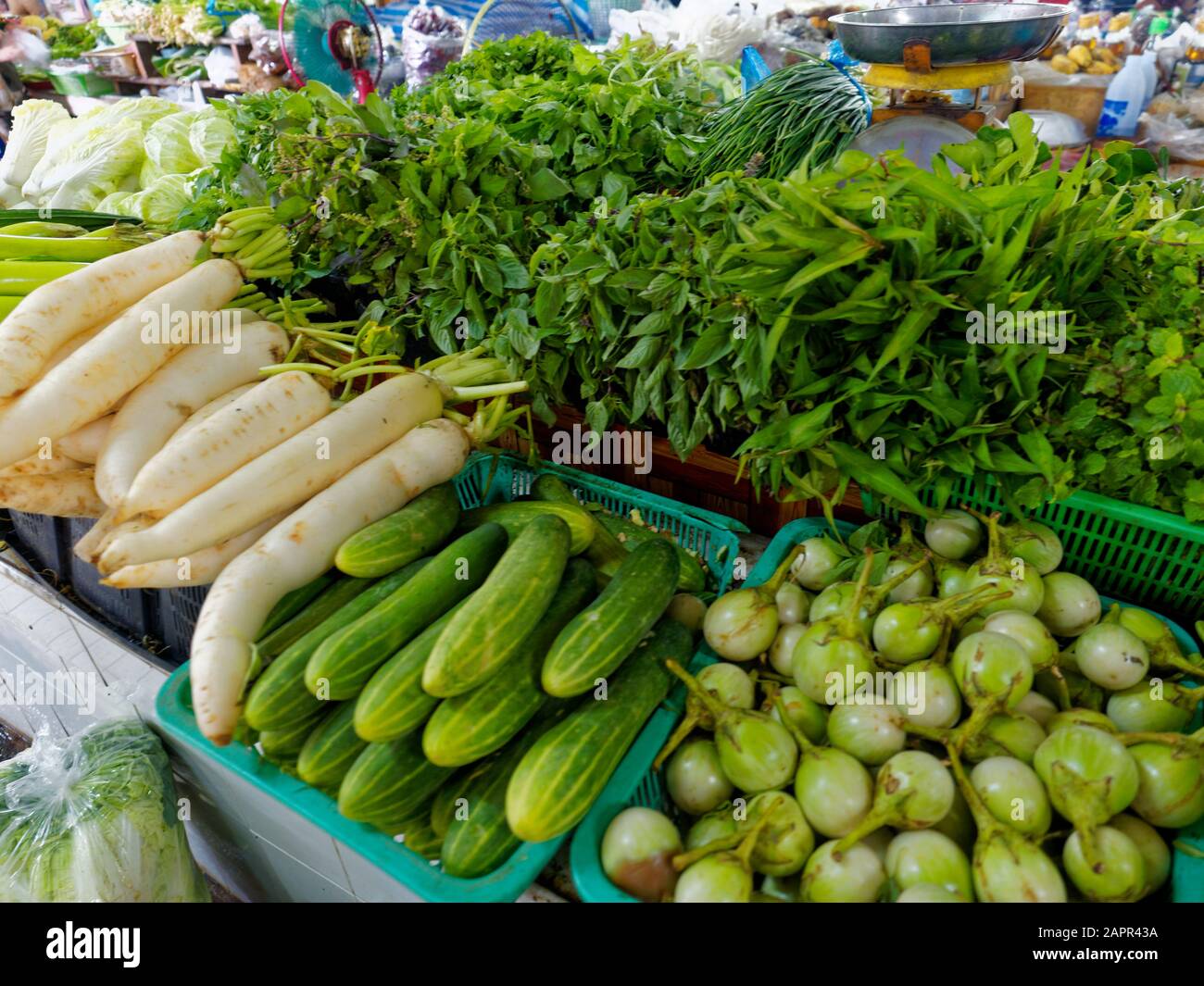 Kleine Aubergina und Kräuter, Markt, Chiang Mai, Thailand, Asien Stockfoto
