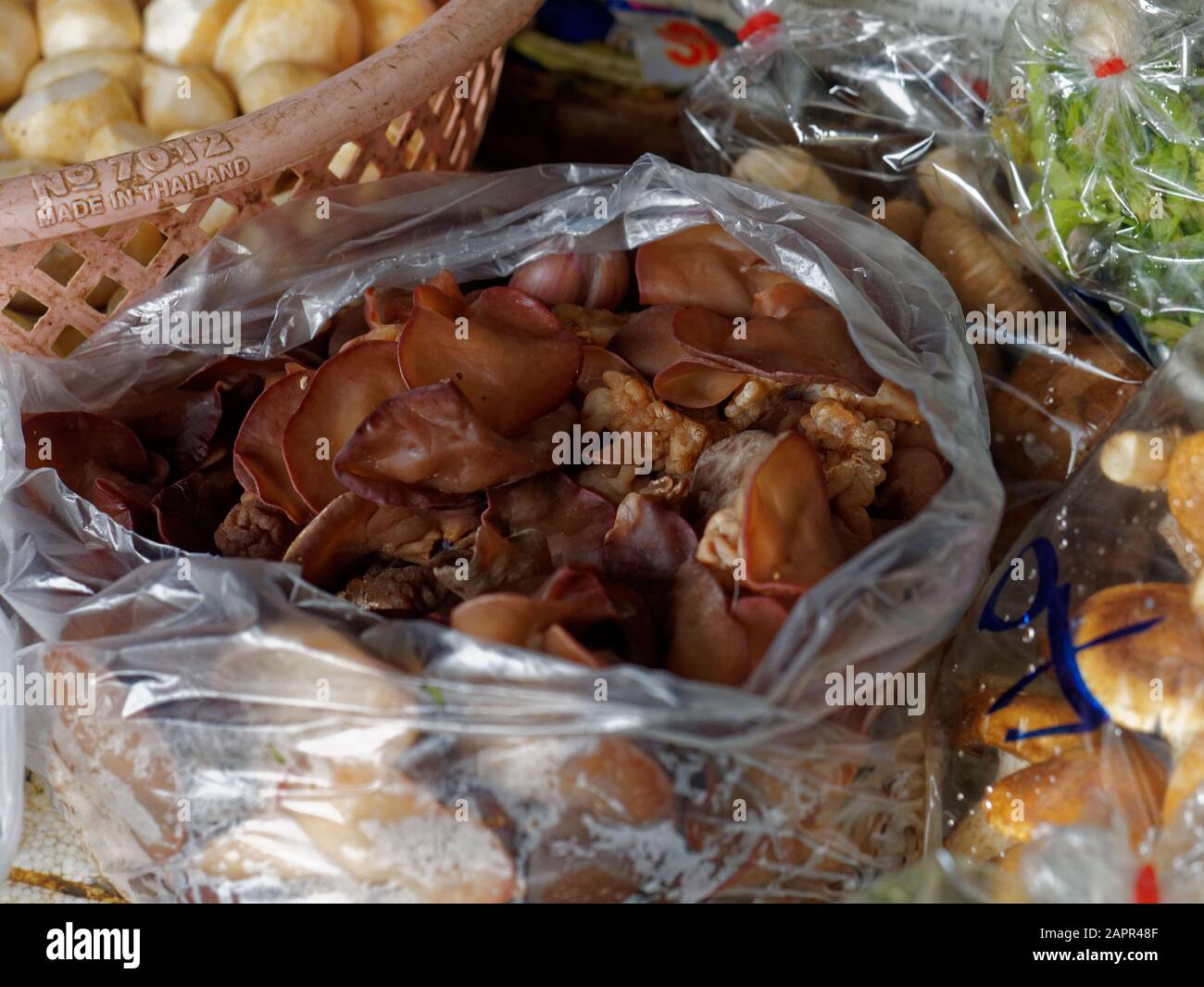 Auricularia polytricha, Het hu nu, Speisepilz, Markt, Chiang Mai, Thailand, Asien Stockfoto