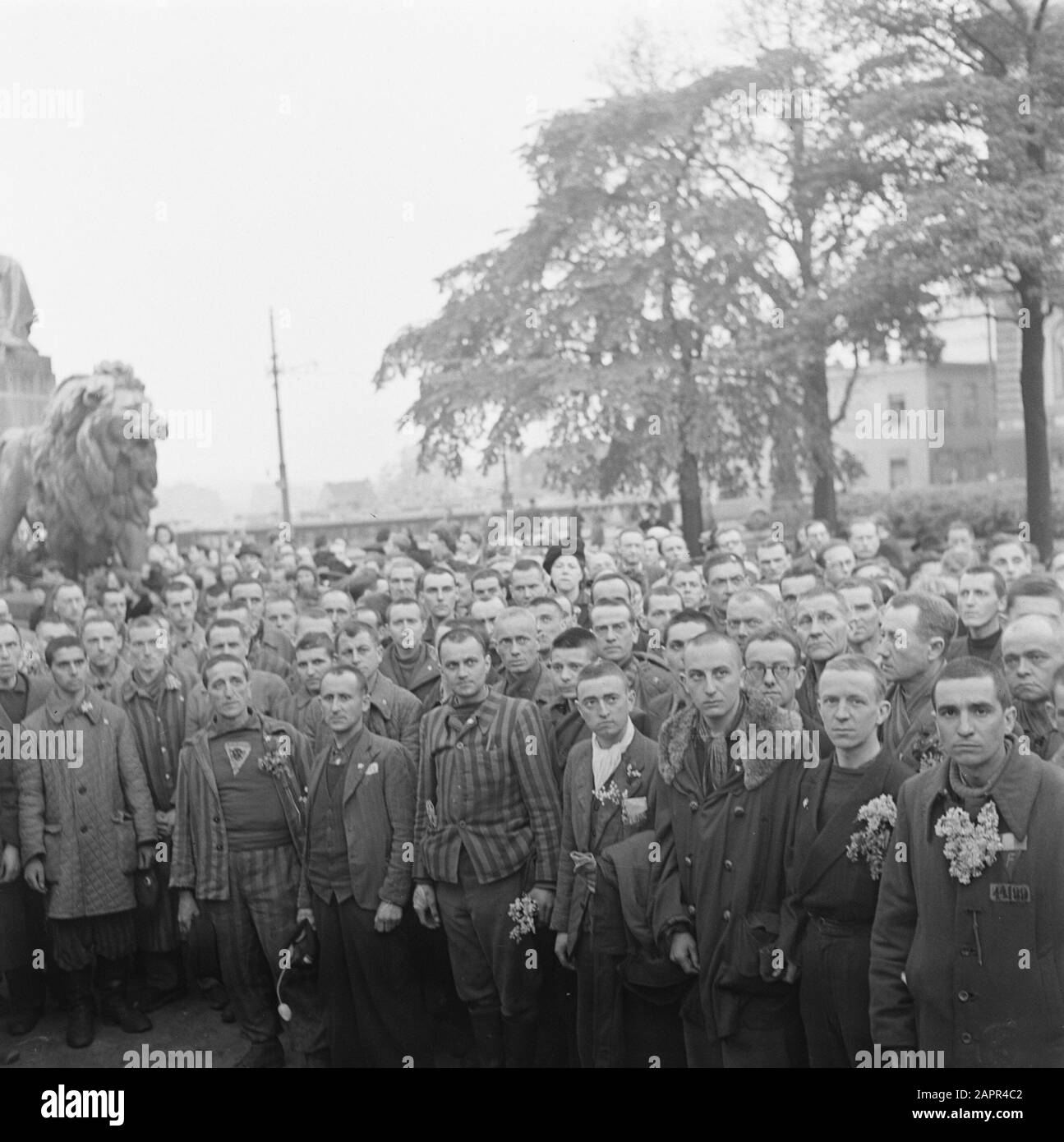 Befreiungsfeste: Belgien Brüsseler Kranz, der von befreiten politischen französischen Gefangenen auf dem Grab des Unbekannten Soldaten in Brüssel gelegt wurde. Datum: April 1945 Ort: Brüssel Schlüsselwörter: Befreiungspartys, Gefangene, Kränze, Zweiter Weltkrieg Stockfoto