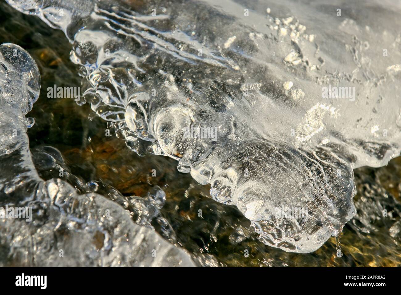 Übergang von Eis zu Wasser entlang eines kleinen Waldbaches in Mittelnorwegen Stockfoto