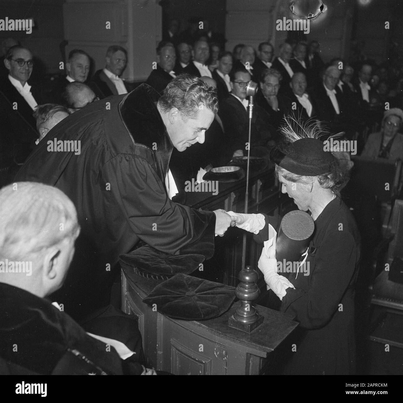 Drei Ehrenpromotionen in Amsterdam. Die Ehrendiktorin für Frau J. Bonne-Wepster (Medizin), Frau M. E. Kronenberg (Briefe und Philosophie) und Herrn Th. Van Erp. (Idem) Datum: 17. September 1951 Ort: Amsterdam, Noord-Holland Schlüsselwörter: Die Promotion Stockfoto
