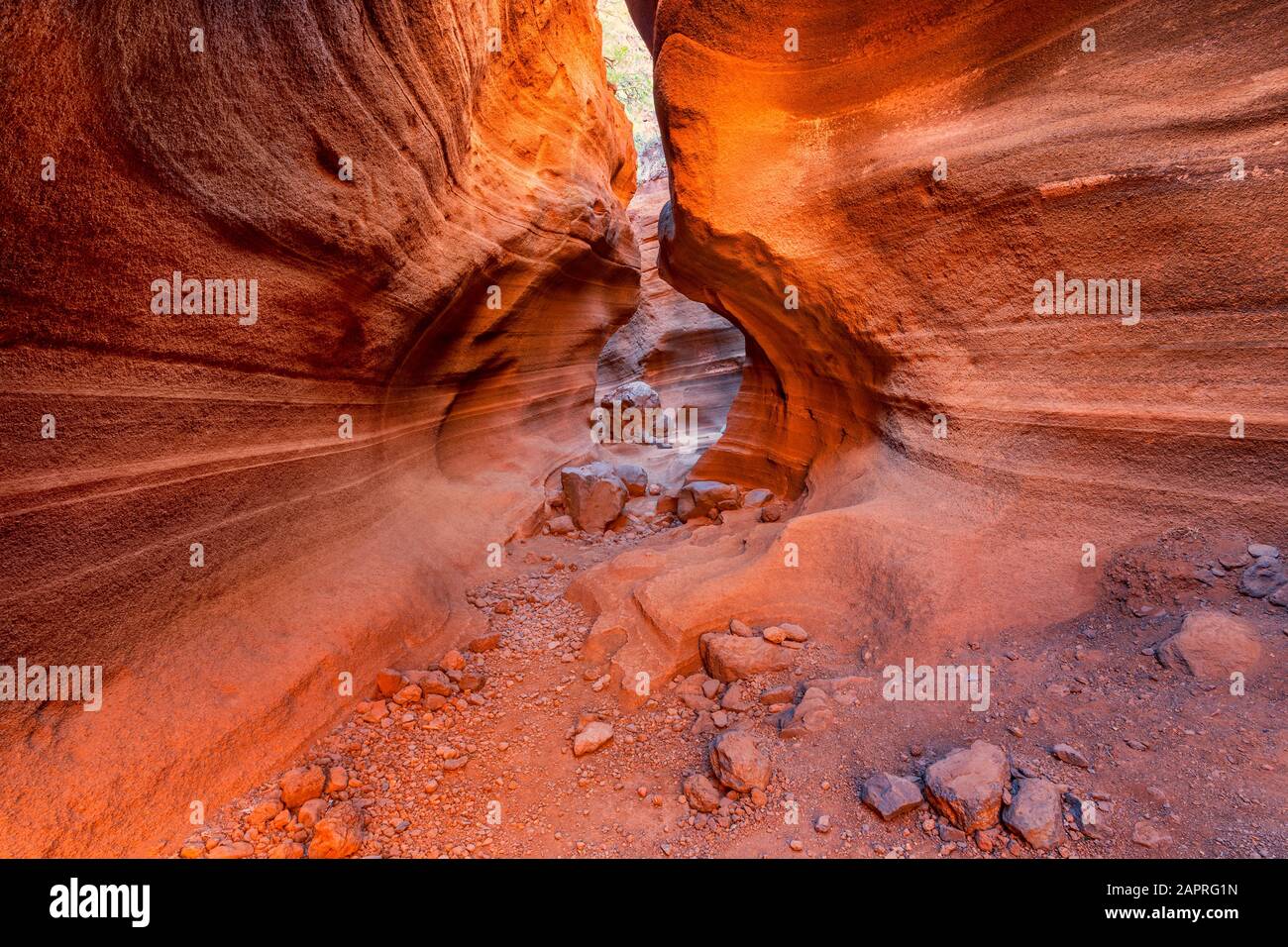 Canyon auf Gran Canaria Spanien Stockfoto