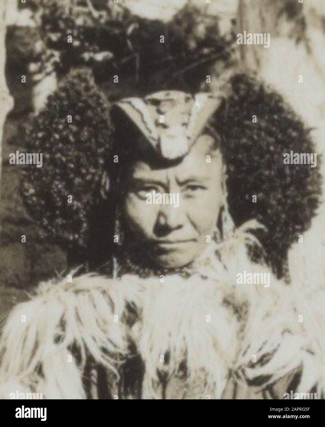 Fotoalbum Fischer: Dritte Karakoru-Expedition, 1929 Album-Blatt mit 3 Fotos. Links oben: Die Expeditionskompanie vor Khan Bahadurs Haus in LEH. Die Personen werden durch Zahlen gekennzeichnet: 1. Franz Lochmatter, 2. Khan Sahib, 3. Rudi Wyss, 4. J. A. Sillem, 5. Jenny Visser-Hooft; 6. Khan Bahdur, 7. Britischer Bischof Peter. Oben rechts: Ladakki-Frauen in LEH; unten: Ein Lama Kloster außerhalb des LEH Datum: 22. Mai 1929 Ort: Indien, LEH Schlüsselwörter: Diener, Sport Stockfoto