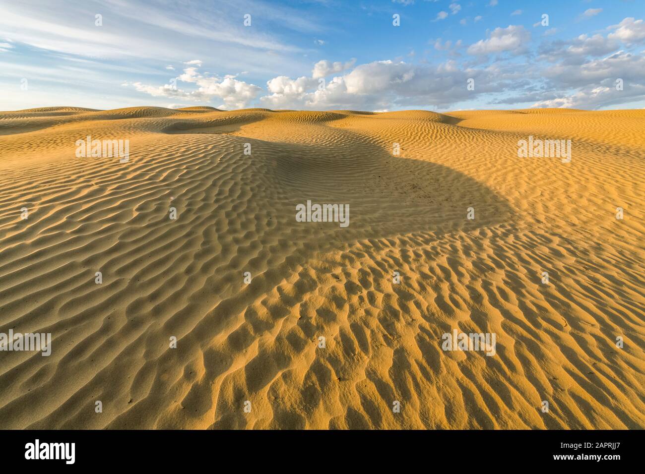 Oberfläche von Sand durch Winderosion gewellt, Great Sandhills Ecological Reserve; Val Marie, Saskatchewan, Kanada Stockfoto