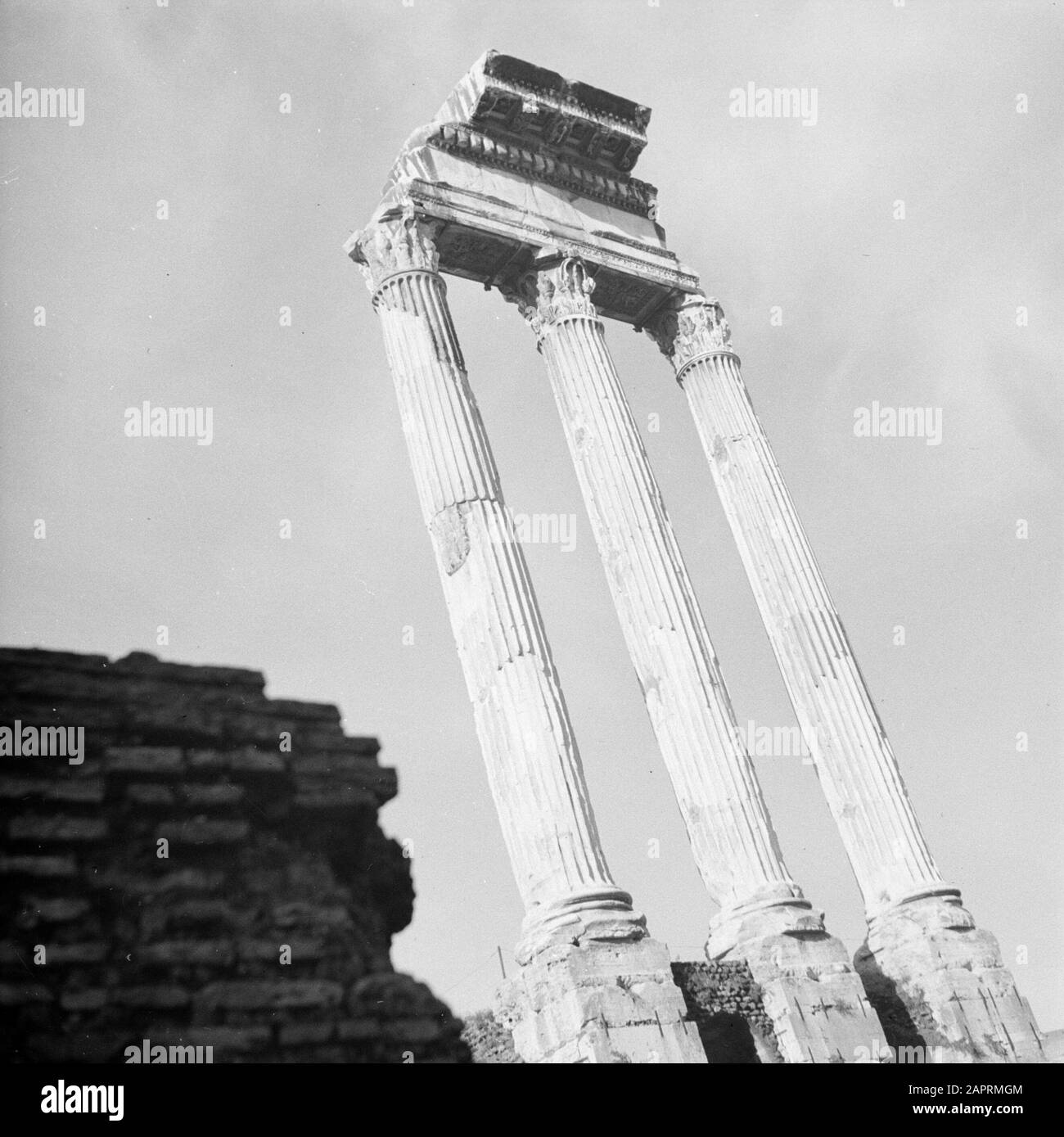 ROM: Besuch Der Stadt Drei korinthische Säulen mit einem Stück Architrav die einzigen Überreste des Tempels von Castor und Pollux auf dem Forum Romanum Datum: Dezember 1937 Ort: Italien, Rom Schlüsselwörter: Archäologie, Säulen, Ruinen, Tempel Stockfoto