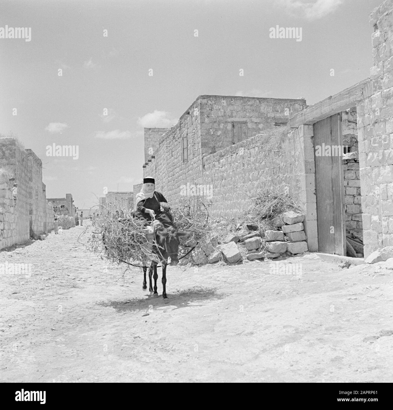 Israel 1948-1949: Druzendorp Daliyat el Carmel Drusian Frau auf einem Esel mit Niederlassungen Datum: 1948 Ort: Daliyat el Carmel, Israel Schlüsselwörter: Dörfer, Dorfstatuen, Esel Frauen Stockfoto