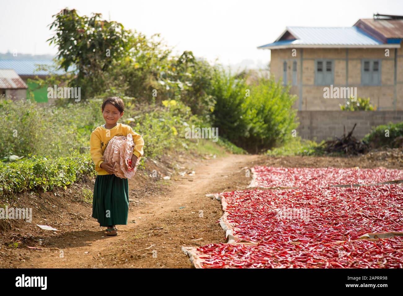Kleines Mädchen, neben sonnengetrockneten roten Chilis, Myanmar Stockfoto
