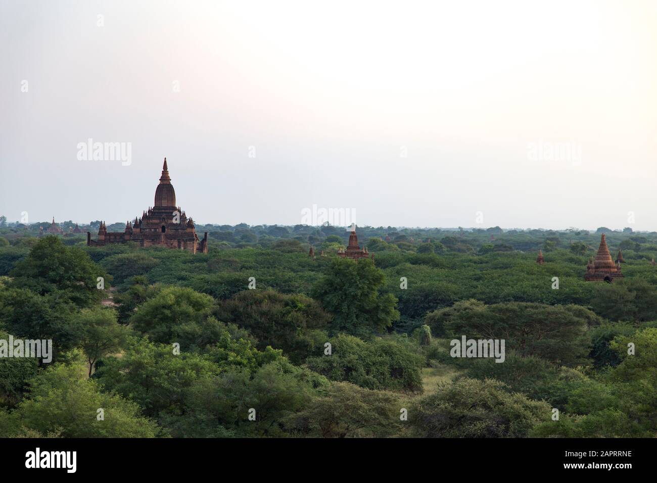 Thitsarwadi Pagode von Bäumen umgeben während des frühen Morgens, Bagan Stockfoto