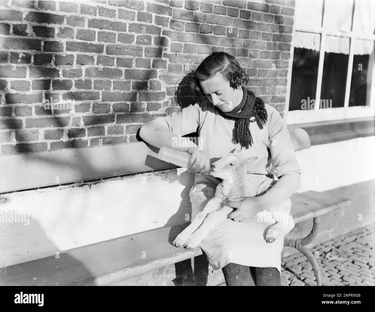 Reportage Farm EIN wenig Lamm wird mit der Flasche gefüttert Datum: 1933 Schlüsselwörter: Bauernhöfe, Lämmer, Frühling, Performance Stockfoto