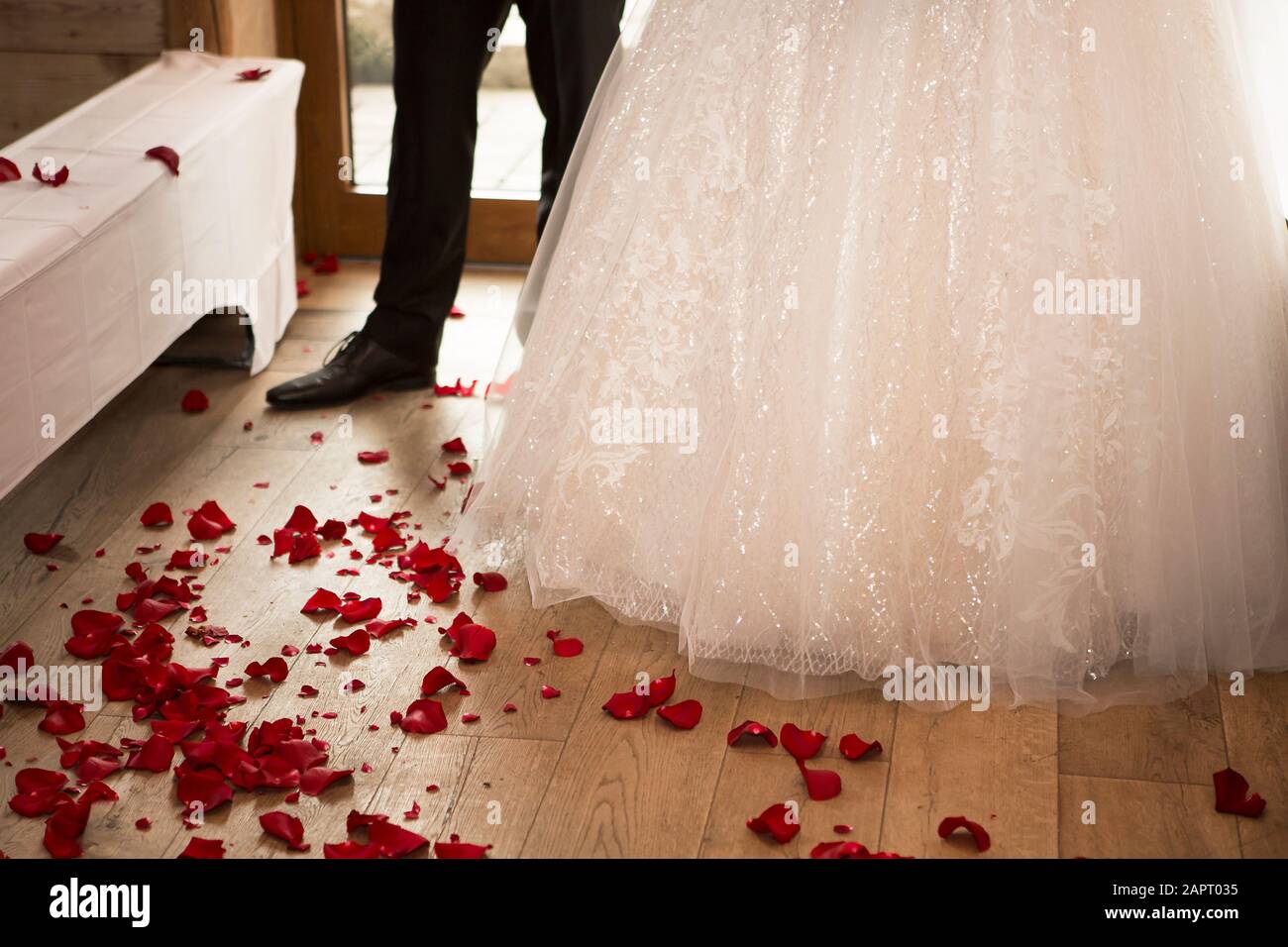 Rosenblätter auf dem Hochzeitsboden, Hochzeitskonzept im Nahbereich Stockfoto