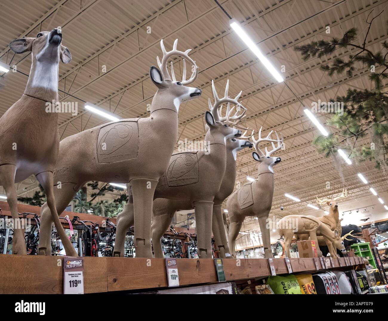 Life Size 3-D Bogenschießen Ziele und Spielzeug für die Bowjagesaison in Bass Pro Shops Outdoor-Shop, Gainesville, Florida. Stockfoto