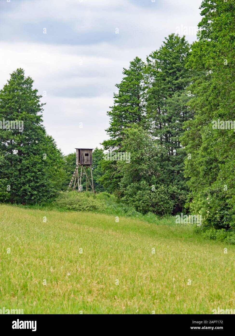 Hochsitz in der Landschaft Mecklenburg-Vorpommern, Deutsch Stockfoto