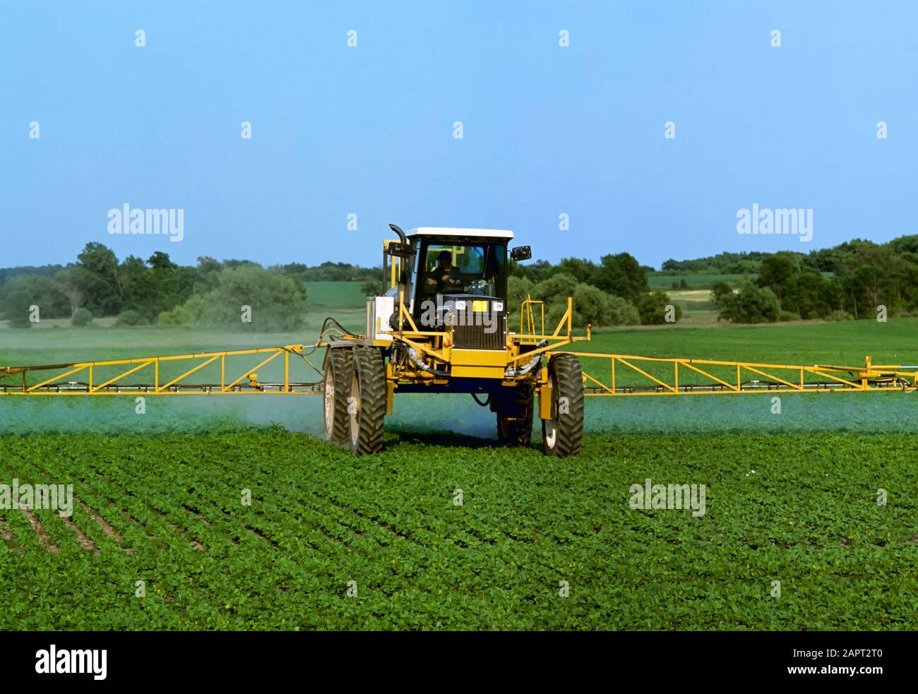 Landwirtschaft - Chemische Anwendung von Herbizid auf einem Gebiet von Sojabohnen mit frühem Wachstum durch einen RoGator Weed Eater / Hennepin County, Minnesota, USA. Stockfoto