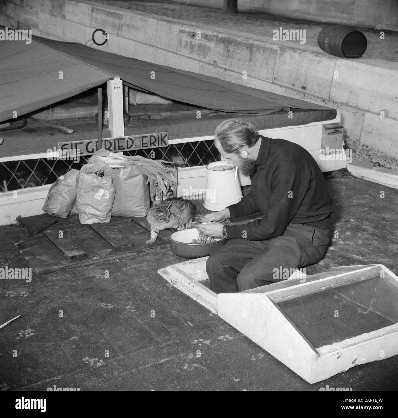 Das segelnde Hausboot Siegfried & Erik an den Ufern der seine, Das Mit seinen Beinen in einer Luke Auf Deck eines Schiffes sitzt, ein Mann schneidet das Gemüse, während die Katze beobachtet Datum: 1950 Ort: Frankreich, Paris Schlüsselwörter: Gemüse, Katzen, Männer, Schiffe Stockfoto