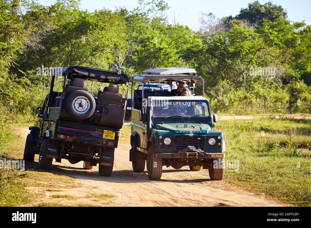 Udawalawe National Park, Sri Lanka - 28. Dezember 2019: Safari-Allradfahrzeuge passieren sich auf der Suche nach Tieren. Stockfoto