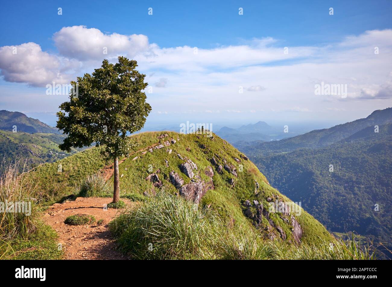 Little Adams Peak an einem sonnigen Tag, Sri Lanka. Stockfoto