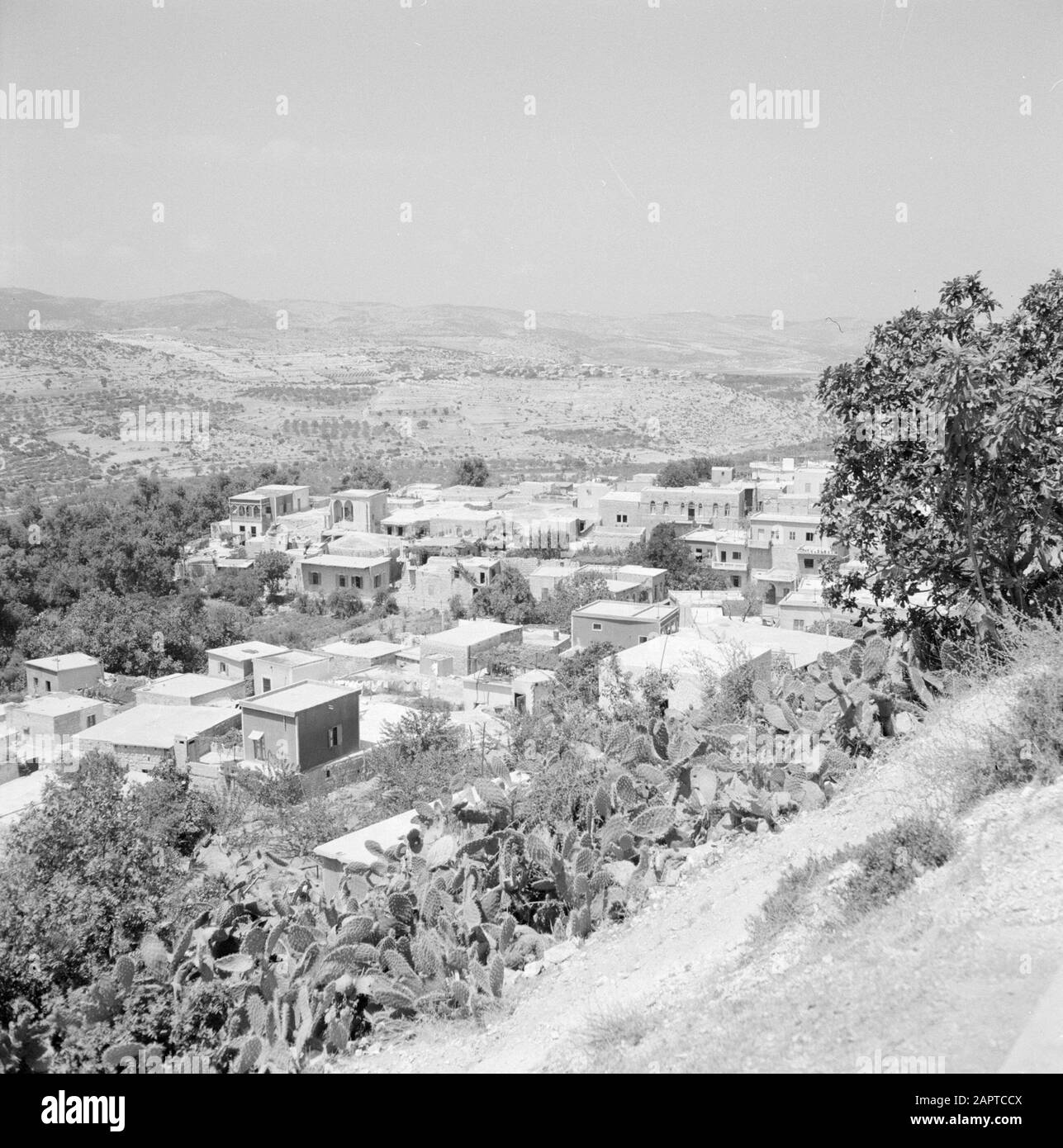 Blick auf das Dorf Peki'in in Toper Galiläa mit der umliegenden Hügellandschaft Datum: 1. Januar 1963 Lage: Galiläa, Israel, Peki'in Schlüsselwörter: Architektur, Dörfer, Hügel, Panoramas Stockfoto