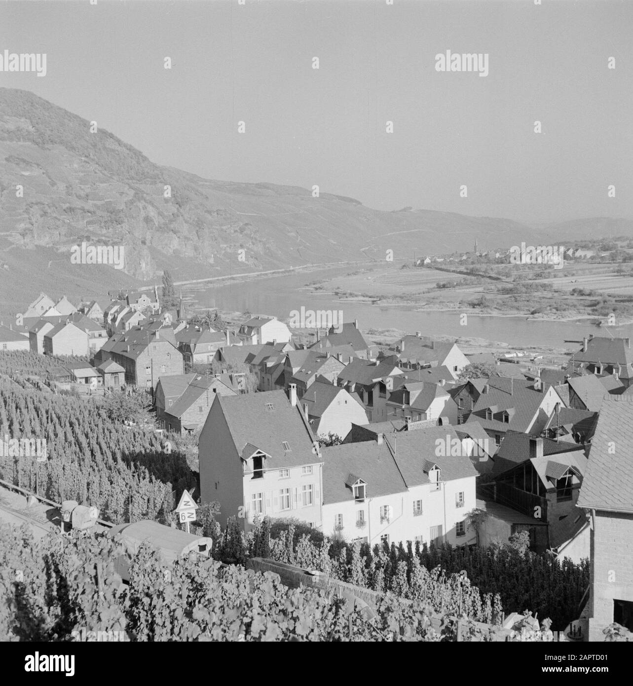 Mosel Blick auf Ãrzig und Weinberg Ãrziger WÃ¼rzgarten Datum: Undatierter Ort: Deutschland, Rheinland-Pfalz, Westdeutschland, Ãrzig Stichwörter: Dorfbilder, Hügel, Panoramas, Flüsse, Weinanbau Stockfoto