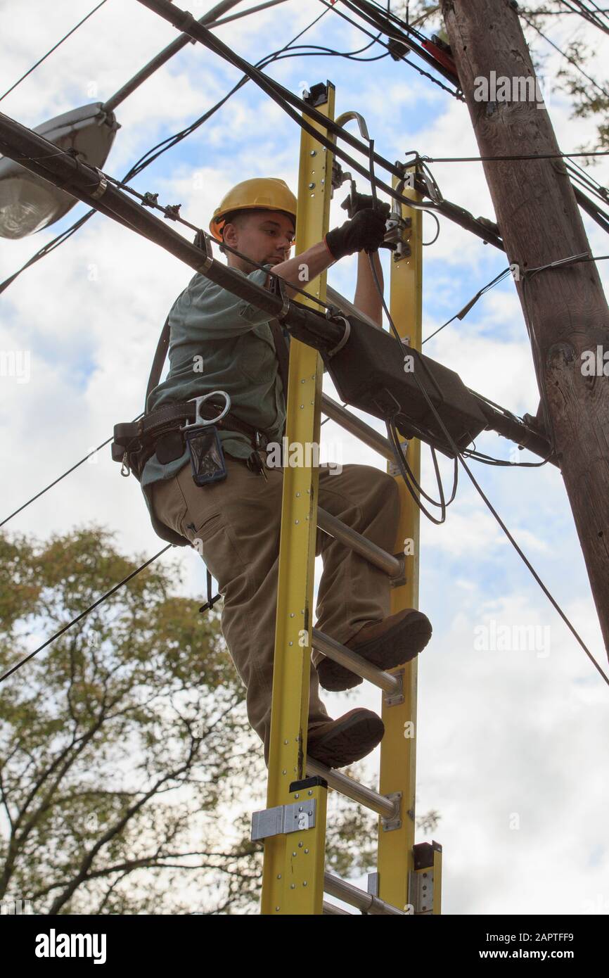 Handwerker, der auf einer Leiter steht und mit Oberleitungen arbeitet Stockfoto